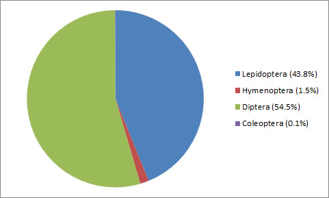 British & Irsh Braconidae and the percentage of British & Irish miner hosts by Order